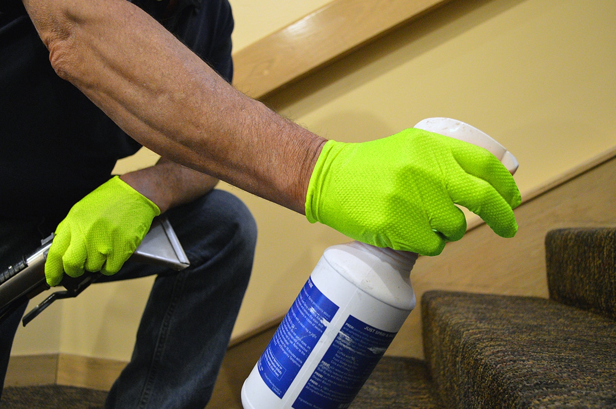 Cleaning carpet while wearing Gloveworks green nitrile disposable gloves.