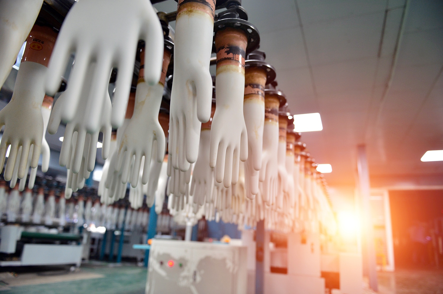 Disposable glove hand-shaped formers hang on the production line while the sun shines in from the background.